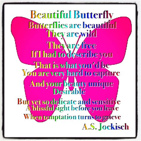 describe  butterfly