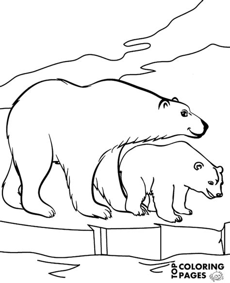 polar bear coloring page animals