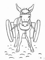 Ezel Burro Esel Donkey Dibujosparaimprimir Ausmalbild Leukekleurplaten Besteausmalbilder sketch template