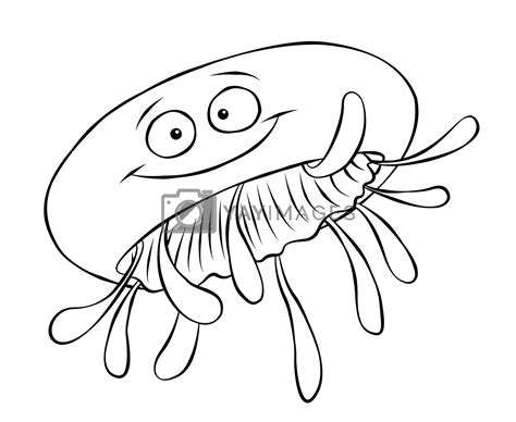 cartoon jellyfish  art  pooterjon vectors illustrations