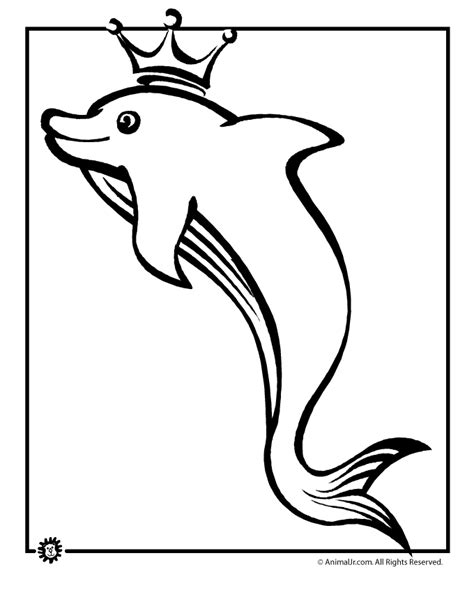 cute dolphin coloring pages coloring home