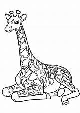 Coloring Pages Giraffe Printable Animals Color Rest Craft Pdfs Animal Print sketch template