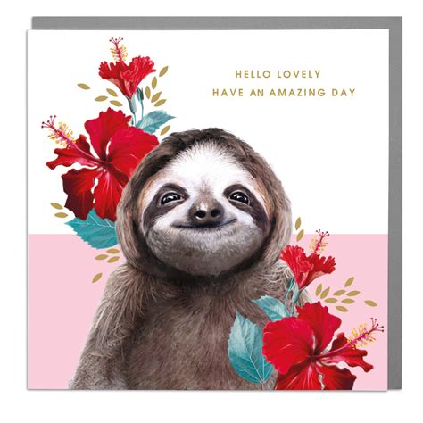 sloth birthday card lola design