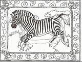 Zebra Coloring Pages Zebras Kids Printable Adult Head Color Print Animal Cute Preschool Colouring Sheets Giraffe Zoo Animals Drawing Peace sketch template