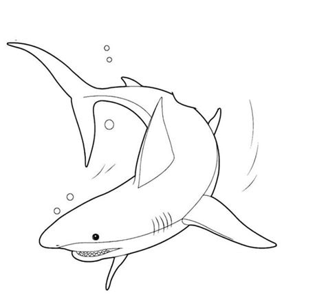 printable shark template