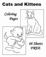 Coloring Cat Pages Kitten Kittens Sheets Cats Printable Kids Worksheets Cute Animal Raisingourkids Many Horse Books Raising Choose Board sketch template