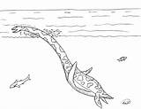 Coloring Liopleurodon Pages Plesiosaurus Template sketch template