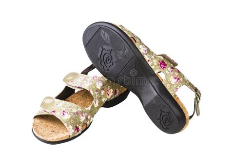 female  stock photo image  sandal shoes female