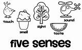 Senses Coloring Pages Sense Template Wecoloringpage Printable Books sketch template