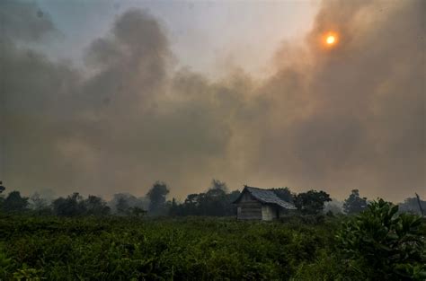 flipboard malaysia indonesia shut thousands of schools over forest fires haze