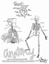 Anatomy sketch template