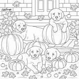 Coloring Pages Pumpkin Fall Halloween Puppies Printable Pumpkins Kids Sheets Colouring Color Choose Board Next sketch template