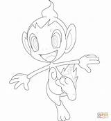 Chimchar Coloring Getcolorings sketch template