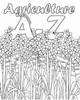Agriculture Coloring Activities Book Ag Printable Ffa Farm Education Kids Classroom Pages Colouring Template Alphabet Activity Farming Worksheets Excellent Science sketch template