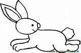 Coloring Pages Rabbits Rabbit Views Treehut Running sketch template