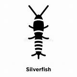 Silverfish sketch template