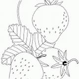 Coloring Strawberries Viburnum Bush Berries Handicraft sketch template
