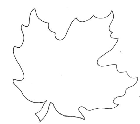 maple leaf drawing template    clipartmag