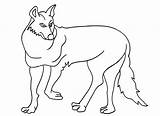 Coyote Coloring Pages Printable Wile Cool2bkids Kids Comments sketch template