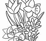 Spring Realistic Rose Drawing Clipartmag Flower Flowers Clipart sketch template