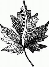 Zentangle Coloring Leaf Pages Printable Clipart Zen Mandala Zentangles Maple Leaves Adult Templates Doodle Popular Drawing Coloringhome Choose Board sketch template