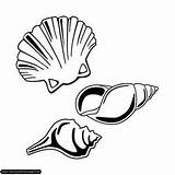 Mussel Muscheln Cozza Muschel Fensterbilder Malvorlage Molluschi Moules Mussels Designlooter Ausmalbild 99kb Stampabile Printmania sketch template