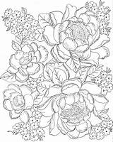Coloring Pages Adults Flower Flowers Tuesday Two Digital Adult Para Roses Colouring Printable Digitaltuesday Book Color Colorir Floral Sheets Gwd sketch template