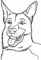 Kleurplaten Honden Herder Duitse Kleurplaat Hond Tekeningen Uitprinten Downloaden Tekenen sketch template