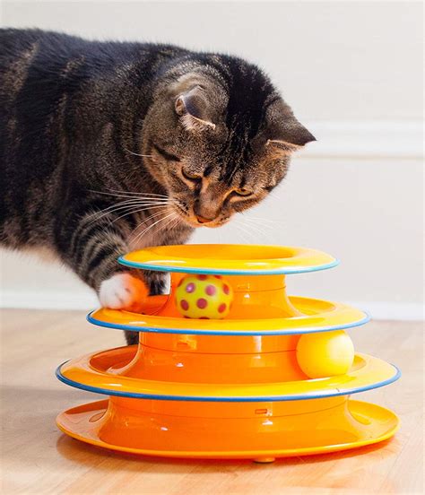 Fight Your Cat’s Boredom With Enrichment Toys