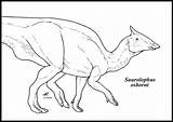 Saurolophus Deviantart Stats Comments sketch template