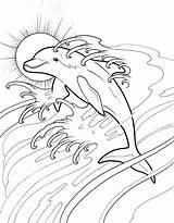 Dolphin Dolphins Dauphin Kleurplaat Colouring Dover Publications Dolfijn Roberta Derue Doverpublications sketch template