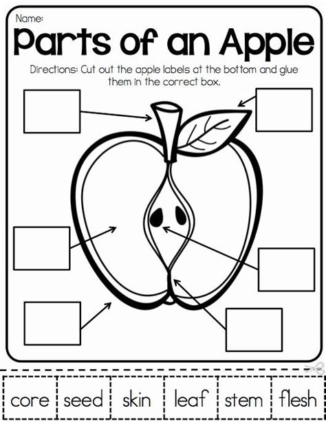 parts   apple worksheets