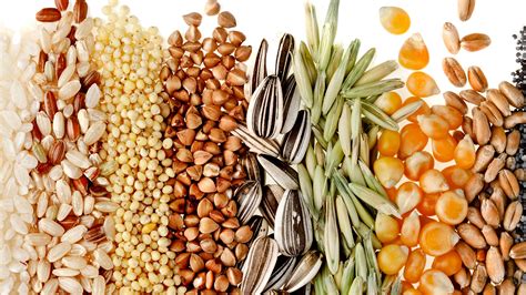 healthy  grains change  diet change  life part