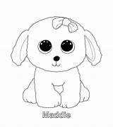 Beanie Coloring Ty Boo Pages Boos Dog Dogs Puppy sketch template