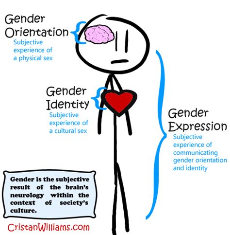 Gender Orientation Intersex Conditions Within The