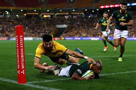 springboks ruled    rest   rugby championship