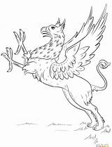 Griffin Coloring Pages Mythical Creatures Hippogriff Drawing Draw Tattoo Line Gryphon Griffon Creature Step Plain Long Wings Egyptian Mythology Getcolorings sketch template