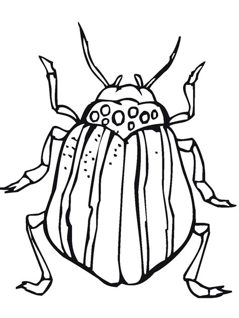 bug insect coloring pages primarygamescom