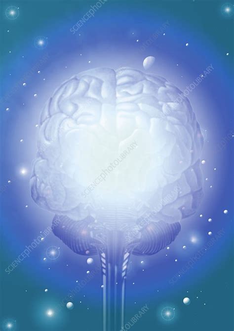 space brain stock image p science photo library