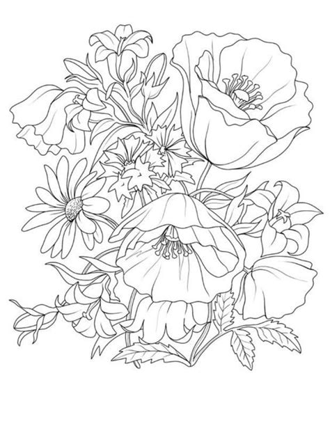 coloring pages  adults plants printable    jpg