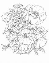 Coloring Pages Adult Adults Flower Printable Drawing Flowers Colouring Beautiful Realistic Sheets Printables Book Line Rose Books Color Pretty Plants sketch template