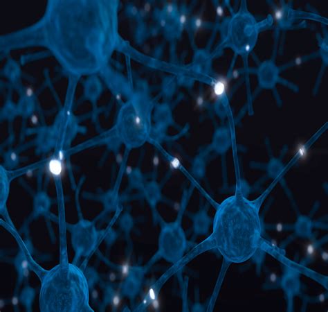 neuroelectroorg researchers create wikipedia  neurons  accelerate brain research