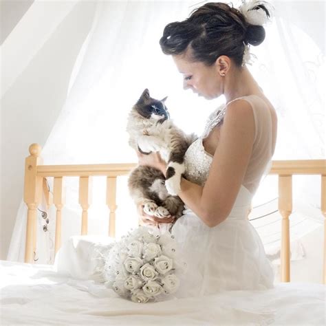 Wedding Photos With Cats Popsugar Love And Sex Photo 2