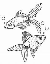 Coloring Goldfish Fish Pages Gold Pdf Printable Colouring Drawing Patterns Printables 02kb 507px Coloringcafe Choose Board sketch template