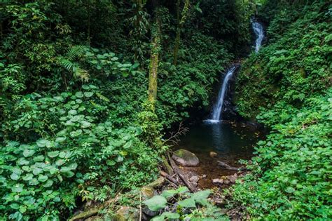 amazing waterfalls  costa rica  crazy tourist