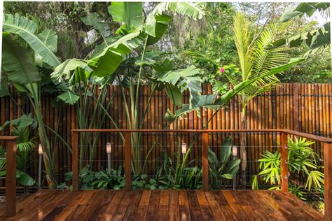 tropical garden ideas google search