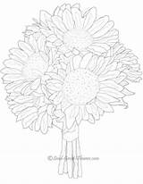 Coloring Pages Sunflower Gerbera Summer Daisy Bouquet Flower Getcolorings Sunflowers Getdrawings Flowers Choose Board sketch template