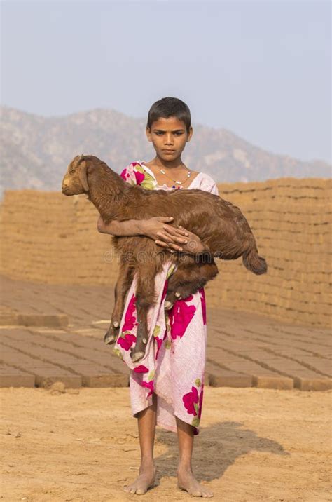 Girl Holding A Goat Editorial Photography Image Of Girls 153055682