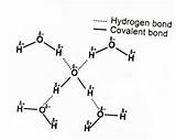 Hydrogen Bonding Molecules Weaker Dipole sketch template