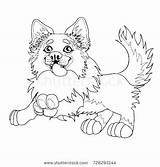 Border Collie Coloring Pages Getcolorings Print sketch template